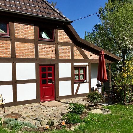Fachwerkhaus 4 Birken Villa Rumpshagen Kültér fotó